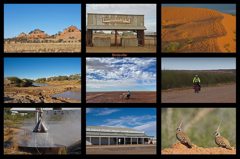 Birdsville Collage  